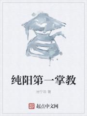 纯阳第一掌教TXT