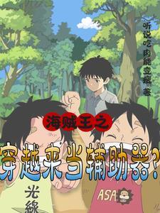 海贼王之穿越来当辅助器?