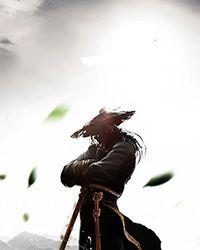 三国之我有公侯命免费