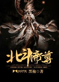 蒲公英的约定周杰伦